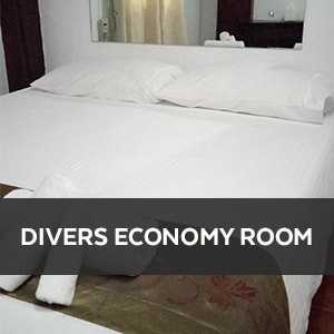 NEW! Divers' Economy Room