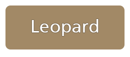 Leopard - Book at | Padre Burgos Castle Resort | Call Now +63 917 408 2529